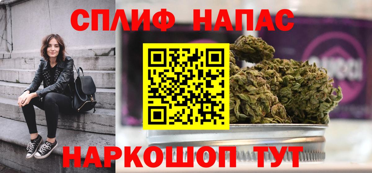 Конопля гибрид Бийск